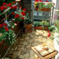 10 Ways to Enhance Your Balcony Garden Experience