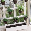 5 Creative Ways to Vertical Garden on Your Balcony