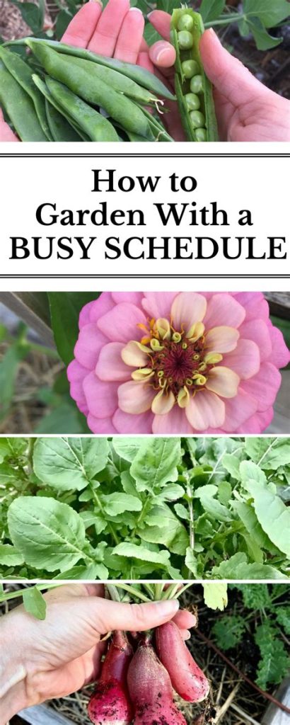 5 Essential Gardening Tips For Busy People