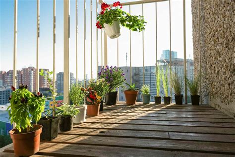 5 Things To Know Before Starting A Balcony Garden