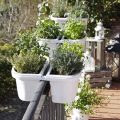 5 Ways To Use Herbs In Your Balcony Cooking