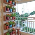 7 Tips For Vertical Gardening On Your Balcony