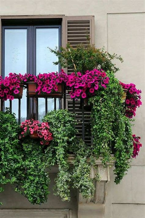 Balconies That Bloom: Best Flowering Plants