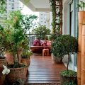 Balconies That Inspire: Creative Plant Designs