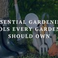 Balcony Garden Essentials for Every Gardener