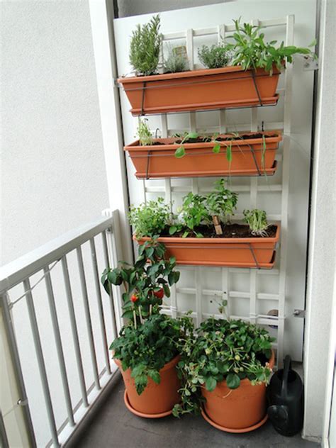 Balcony Garden Planning: A Step-by-Step Guide