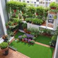 Balcony Gardening Challenges And Solutions