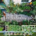 Balcony Gardening Essentials Every Urban Gardener Needs