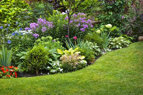 Balcony Gardening: Find Your Perfect Plant Pairings