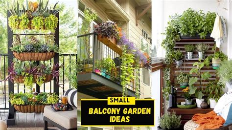 Balcony Gardening Hacks For Busy People