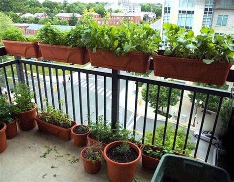 Balcony Gardening Ideas For Beginners