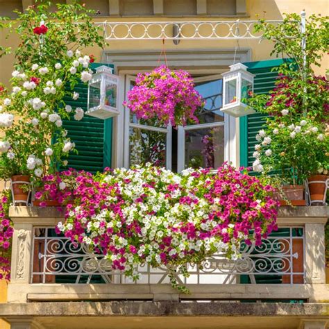 Balcony Gardening Made Easy For Beginners