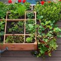 Balcony Gardening Techniques For Better Yield