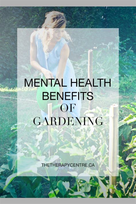 Balcony Gardening For Mental Health Benefits