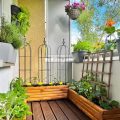 Balcony Gardening In Small Apartments