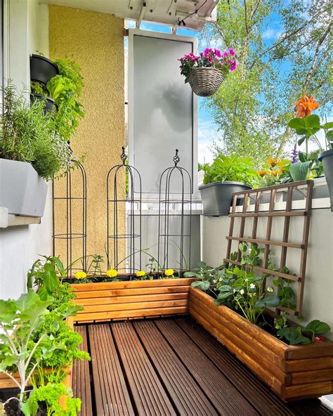 Balcony Gardening In Small Apartments