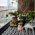 Balcony Plant Ideas For Every Season