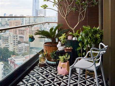 Balcony Plant Ideas For Every Season