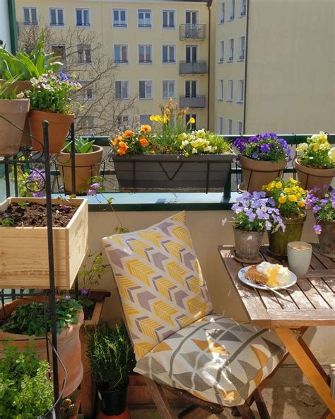 Balcony Plants That Thrive In Small Spaces