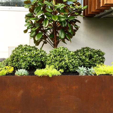 Best Practices For Balcony Plant Health Checks