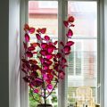 Brighten Your Balcony with Colorful Flowers