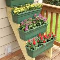 Choose The Right Containers For Your Plants