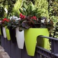 Choosing Eco-Friendly Supplies For Balcony Gardening