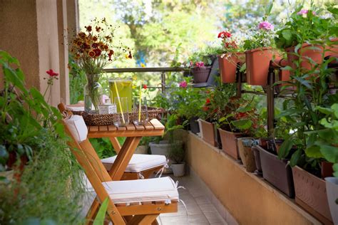 Choosing The Right Containers For Balcony Plants