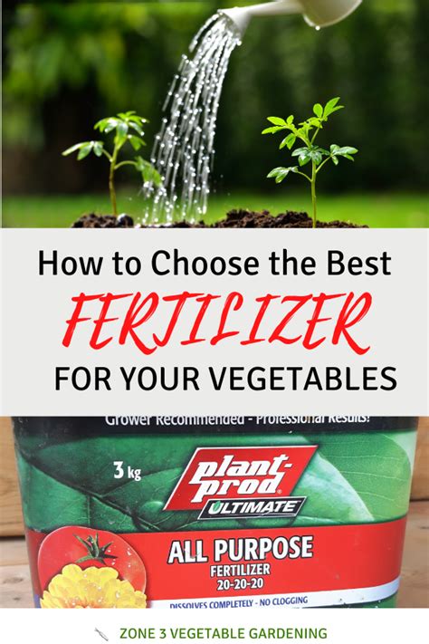 Choosing the Right Fertilizer for Balcony Plants