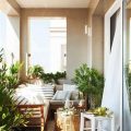 Choosing The Right Plants For Your Balcony