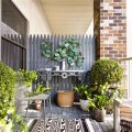 Create Privacy With Balcony Plants