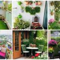 Create A Lush Balcony Garden Today