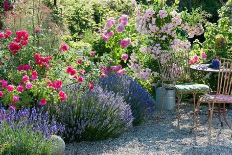 Create an Aromatic Balcony Garden with Fragrant Plants