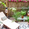 Creating A Relaxing Balcony Retreat With Plants