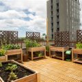 Creating A Rooftop Garden With Balcony Plants