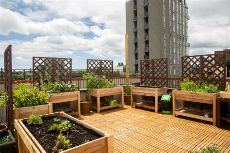 Creating A Rooftop Garden With Balcony Plants