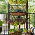 Creative Ideas For Vertical Balcony Gardens