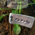 Creative Plant Labels For Your Balcony Garden