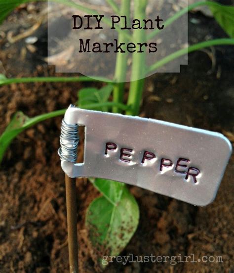 Creative Plant Labels For Your Balcony Garden