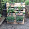 DIY Projects To Enhance Your Balcony Garden