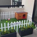 Designing a Pet-Friendly Balcony Garden