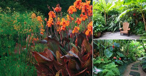 Discover Hardy Plants For Cold Balcony Spaces