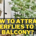 Discover How to Attract Butterflies to Your Balcony