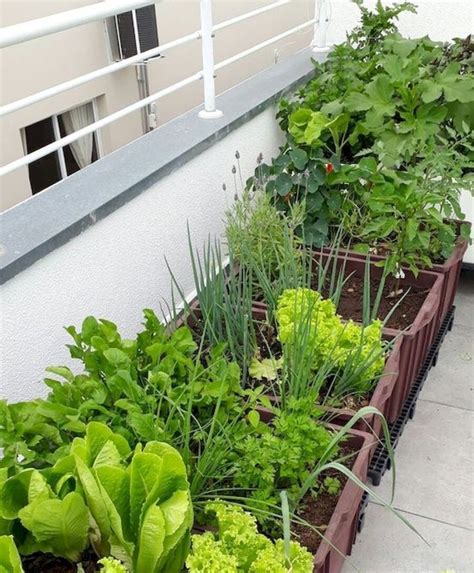 Eco-Friendly Practices for Balcony Gardening