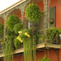 Elevate Your Balcony With Hanging Gardens