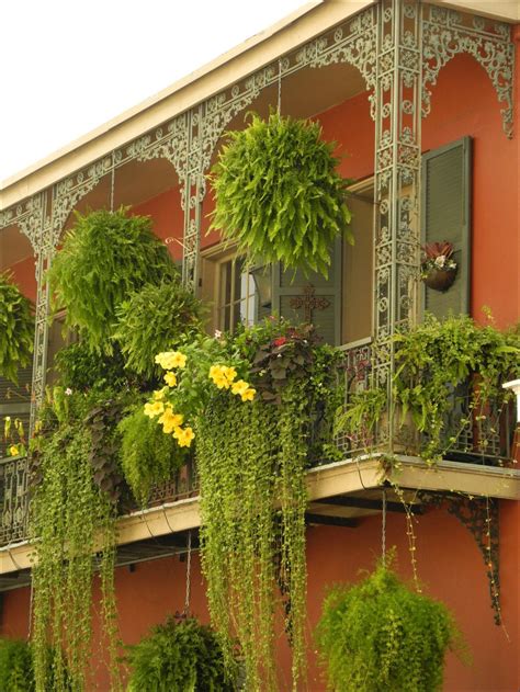 Elevate Your Balcony With Hanging Gardens