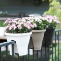 Enhance Your Balcony With Decorative Plant Pots