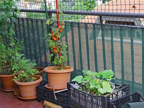 Enjoy Fresh Produce With A Balcony Vegetable Garden