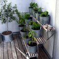 Essential Soil Tips For Balcony Plants