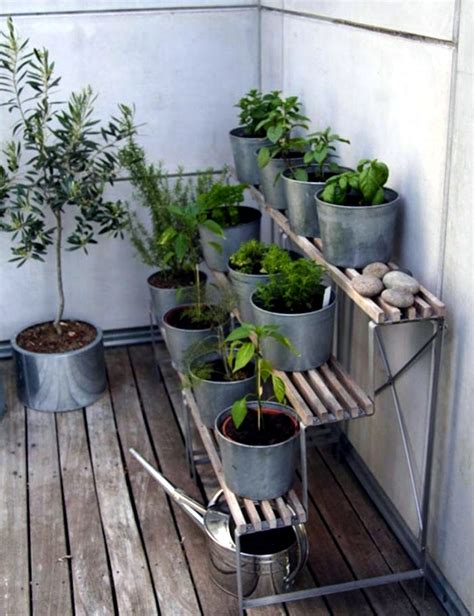 Essential Soil Tips For Balcony Plants